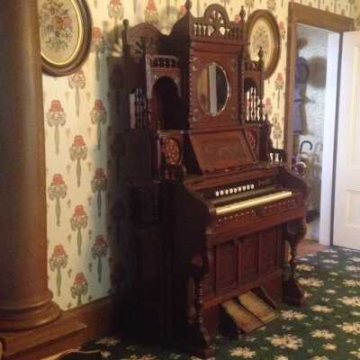 Organ - left side