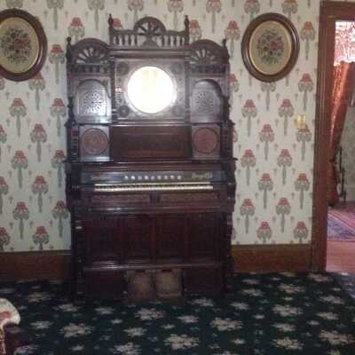 Organ
