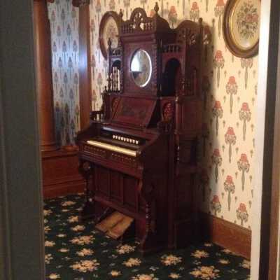 Organ - right side