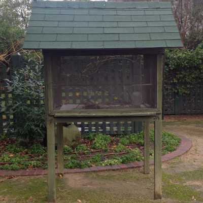 Bird Cage