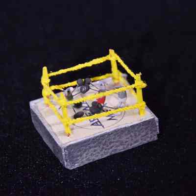 Boxing mice figure