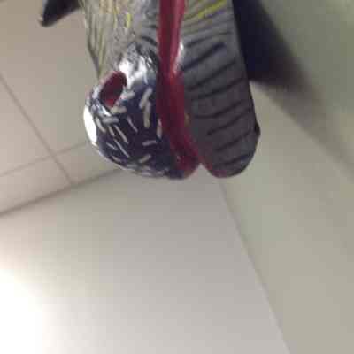 Condition: Image #4 (2014-07-03)