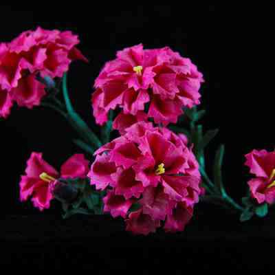 Flower, Artificial