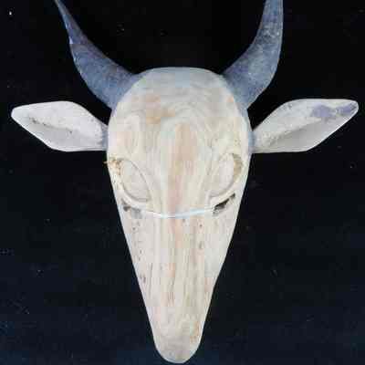Mask