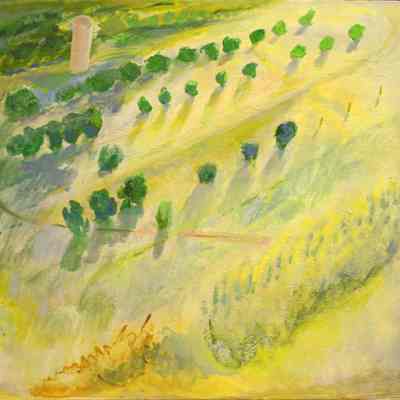 Grovescape With Morning Light
