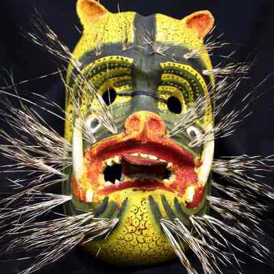Tiger mask: Copyright: IMAS