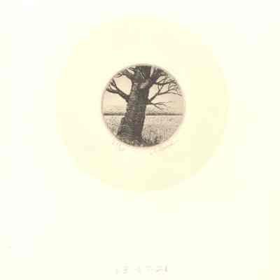 "Tree"