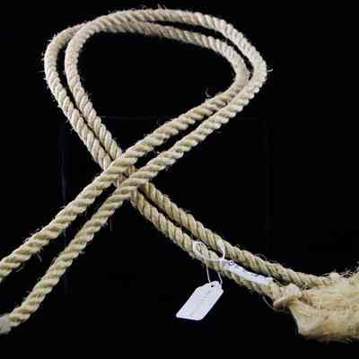Strap