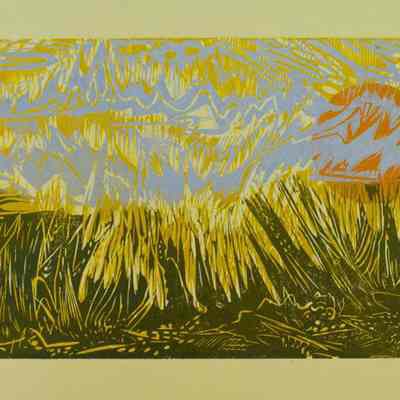 Grass Larks