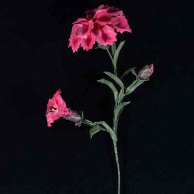 Flower, Artificial