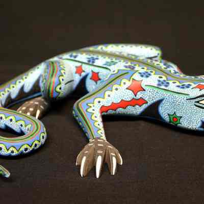 Lizard