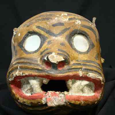 Mask: Copyright: IMAS