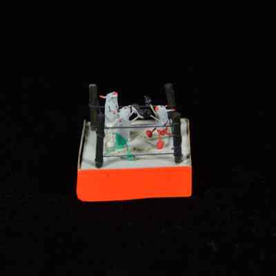 Miniature
