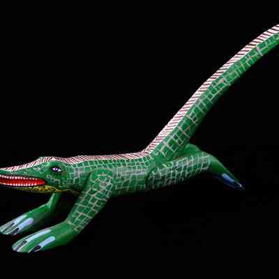 Alligator