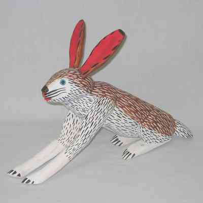 rabbit: Copyright: IMAS