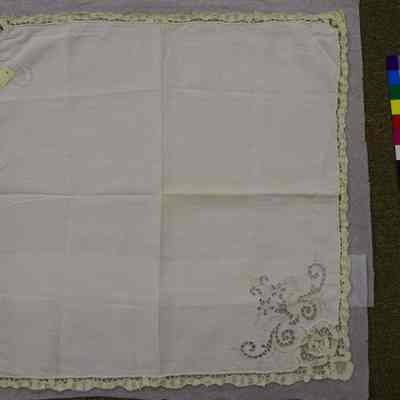 Napkin