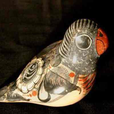 Parrot