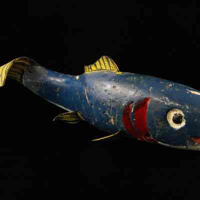 Fish under arm