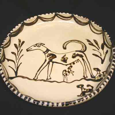 Dish