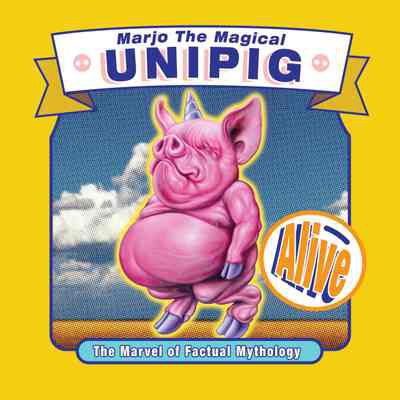Marjo The Magical Unipig