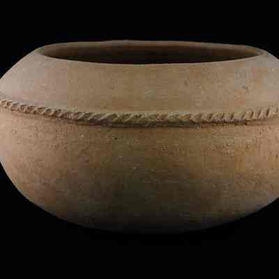 Bowl, Food Storage