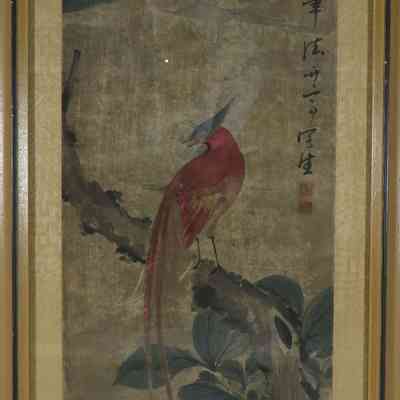 Red Bird