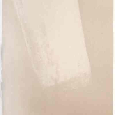 "silent curtain"