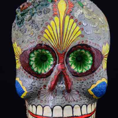 Skull