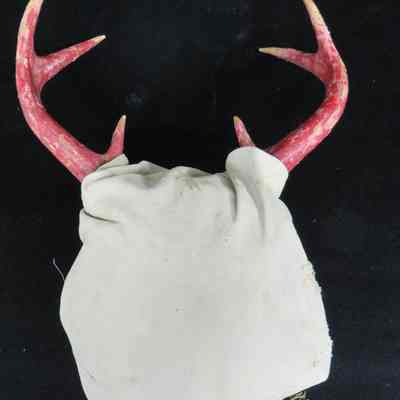 Head dress