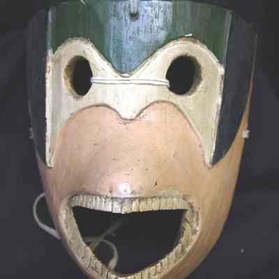 Old Dog Mask