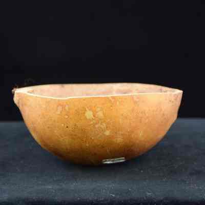 Gourd