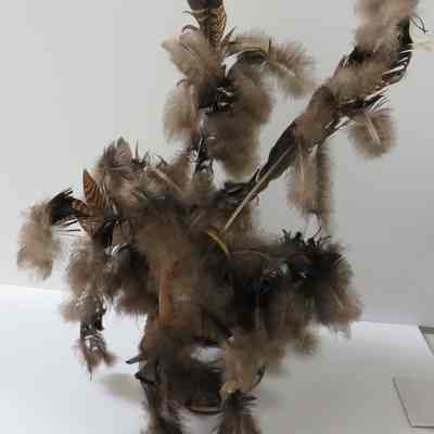 Matachin Feather Headdress