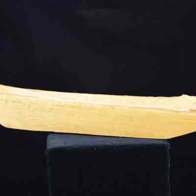 Man in canoe
