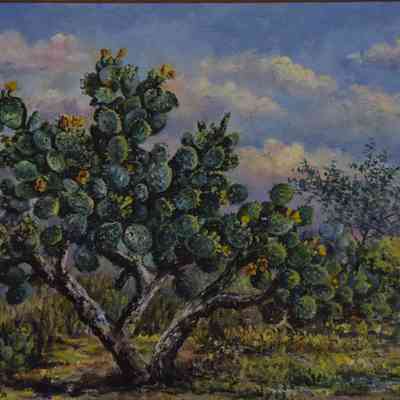 Prickly Pear Cactus