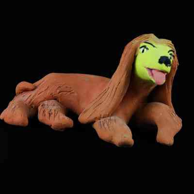 Afghan Hound