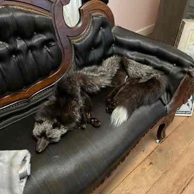 Large fox fur collar