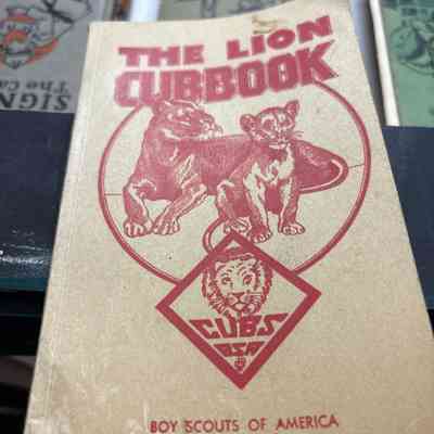 The Lion Cub Book