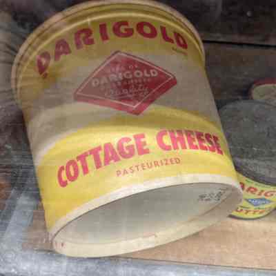 Darigold Cottage Cheese Container