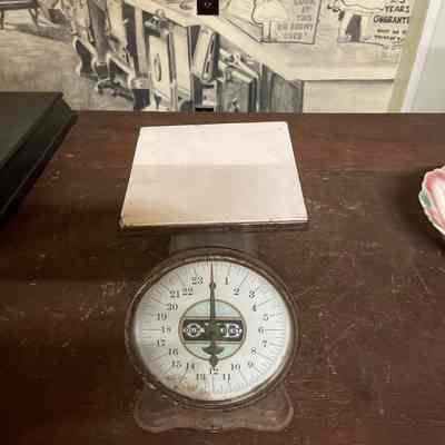 OVB Scale