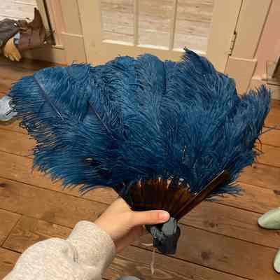 Blue feather fan