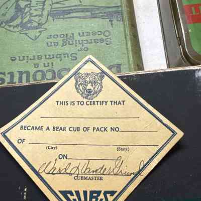 Cub Scout BSA Card