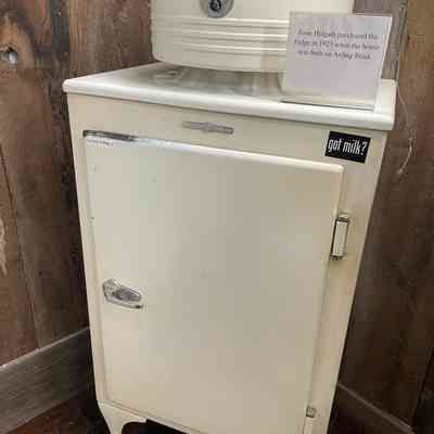 GE Fridge