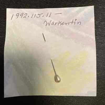 Pearl pin