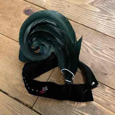 Feather headpiece