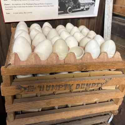 Humpty Dumpty Egg Crate