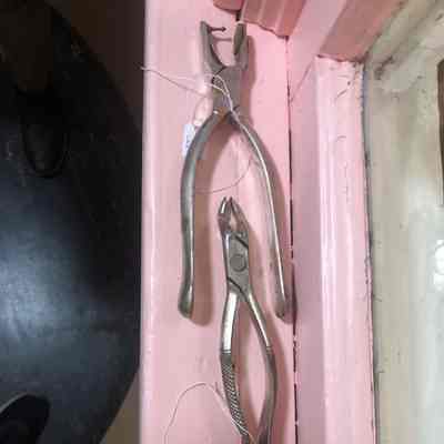 Endodontic Clamp, Dental Plier