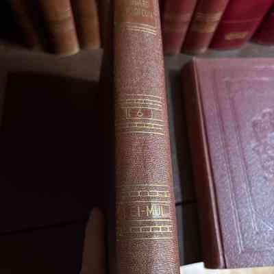 New Standard Encylopedia LEI-MUL
