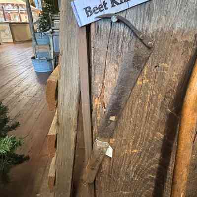 Beet Knife