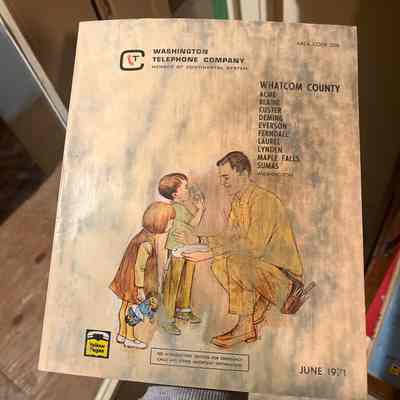 Whatcom telephone directory-1971