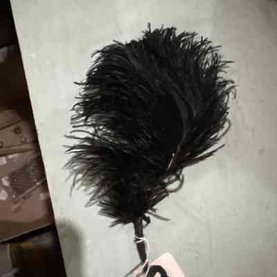 Black Feather